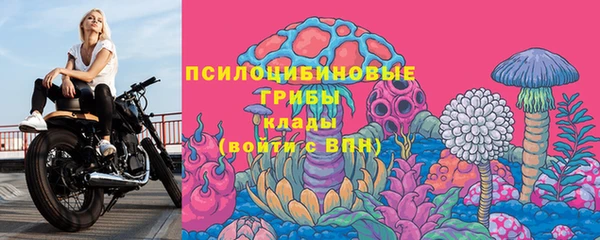 ECSTASY Верхний Тагил