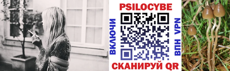 Псилоцибиновые грибы мицелий  Севастополь 